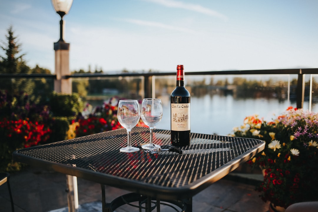 Discover the Rich Flavors of Daou Cabernet Sauvignon 2021